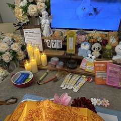 宠物家长客户见证