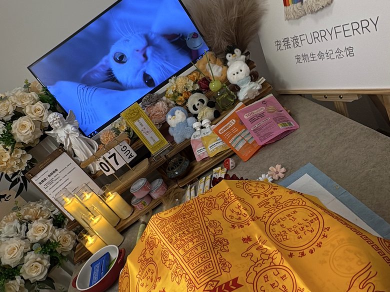 宠物爪印留念与纪念品定制