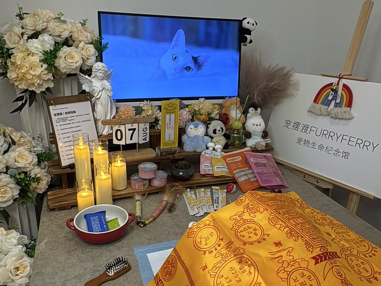 宠物纪念相册与追思布置